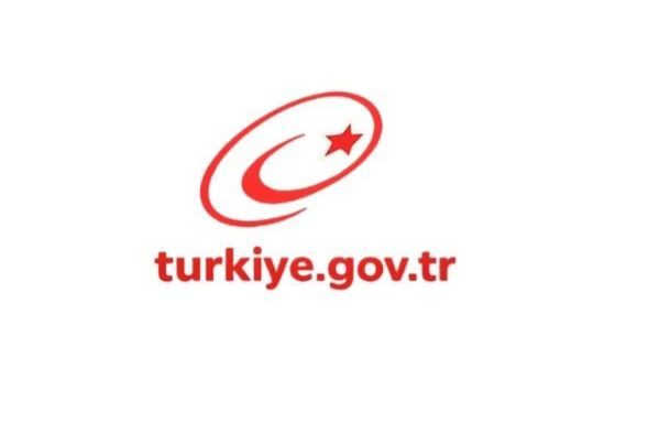 E DEVLET